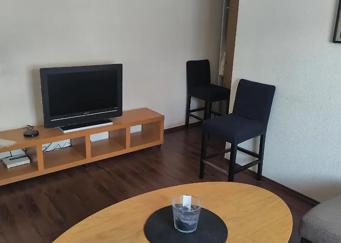 Two Rooms Apartment In City Center